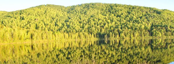 Площадка рабочиенадень.рф